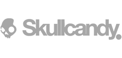 skullcandy grey